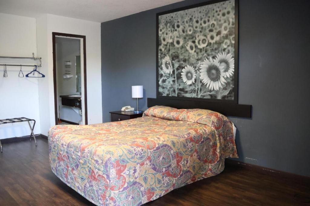 Hotel O Oskaloosa - Hwy 63/92 Ngoại thất bức ảnh